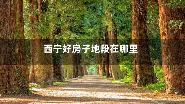 西宁好房子地段在哪里