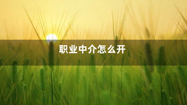 职业中介怎么开
