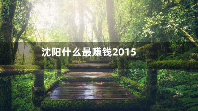 沈阳什么最赚钱2015