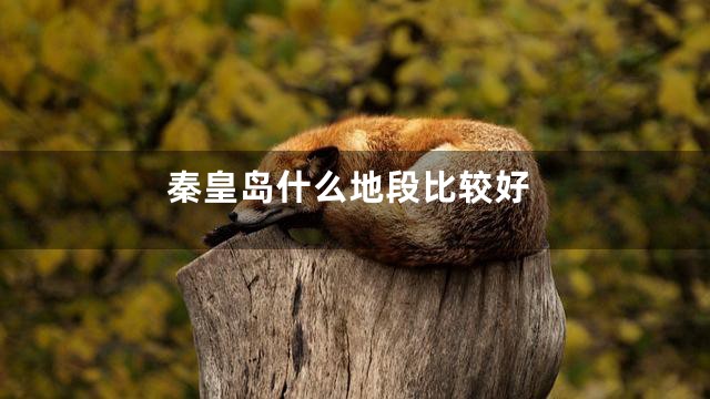 秦皇岛什么地段比较好