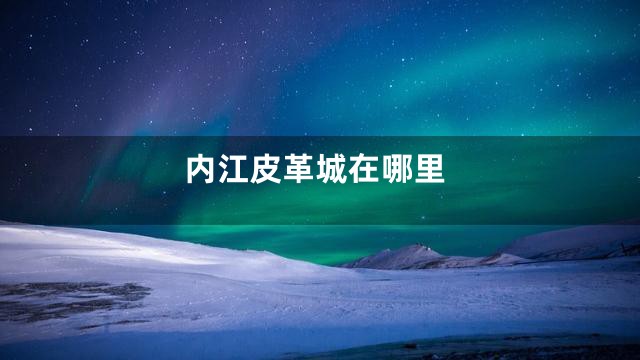 内江皮革城在哪里