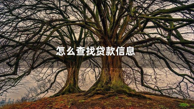 怎么查找贷款信息