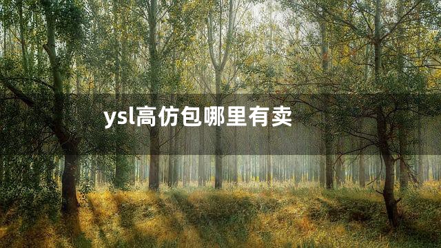 ysl高仿包哪里有卖