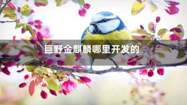 巨野金麒麟哪里开发的