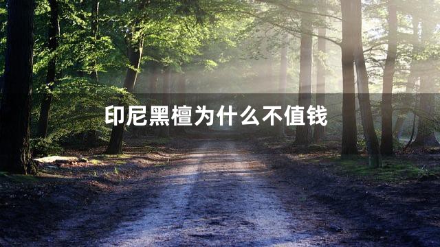 印尼黑檀为什么不值钱