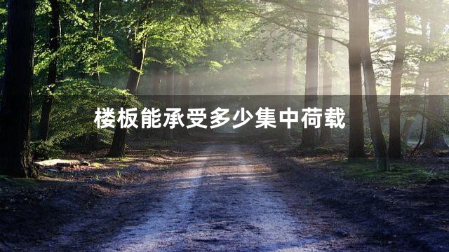 楼板能承受多少集中荷载