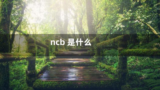 ncb 是什么