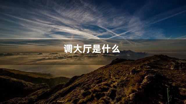 调大厅是什么