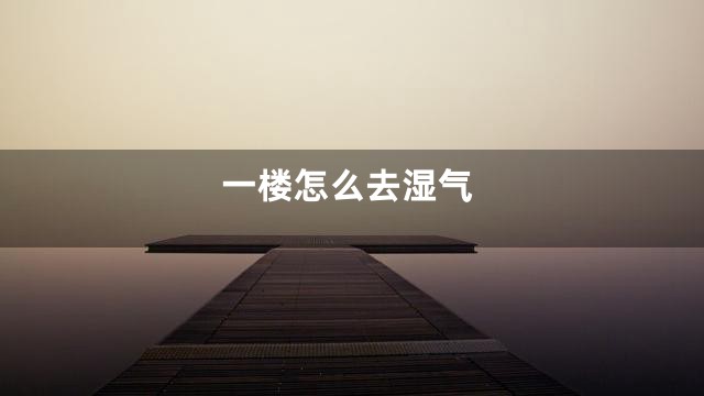 一楼怎么去湿气