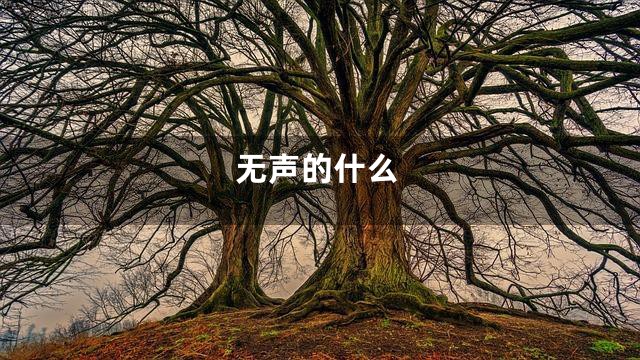 无声的什么