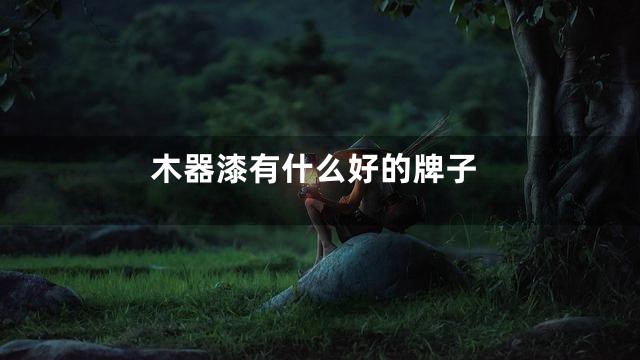 木器漆有什么好的牌子