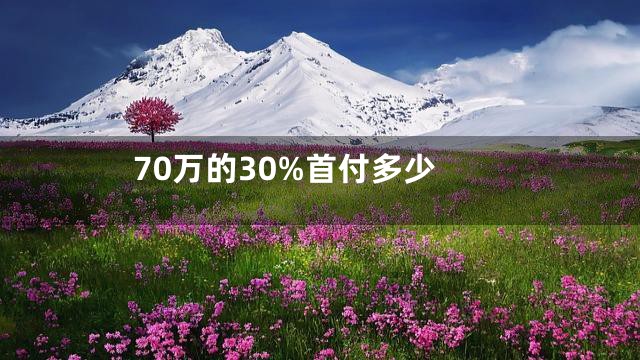 70万的30%首付多少