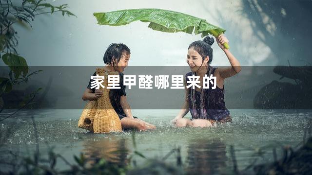 家里甲醛哪里来的