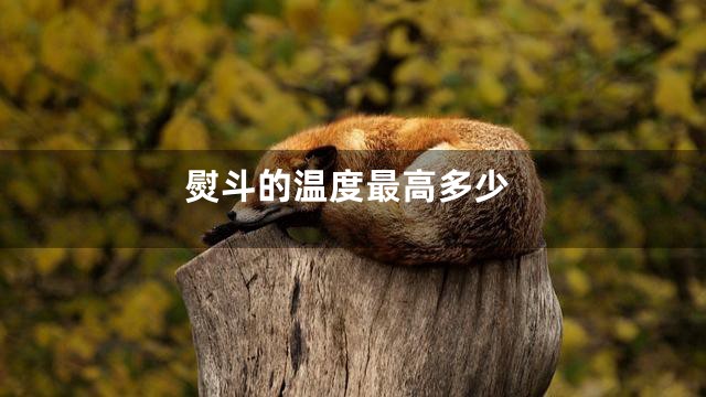 熨斗的温度最高多少