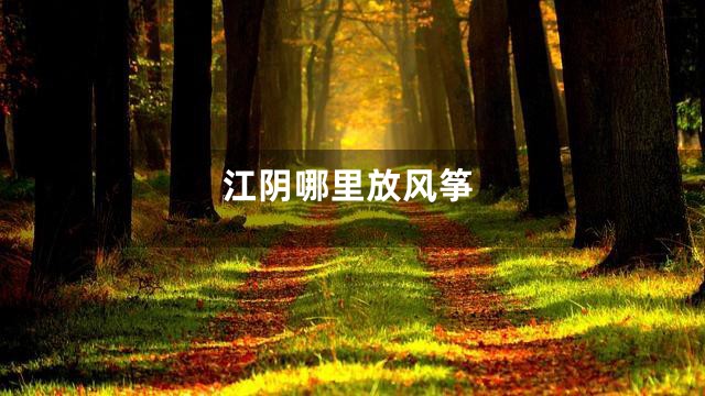 江阴哪里放风筝