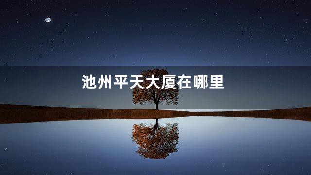 池州平天大厦在哪里