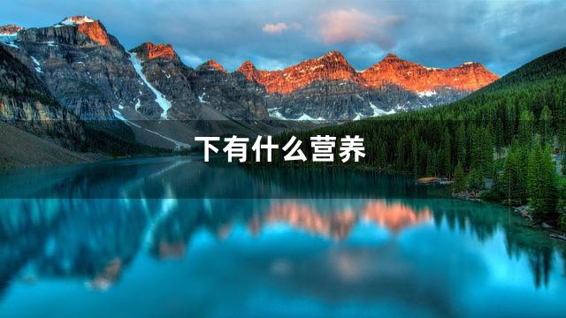 下有什么营养