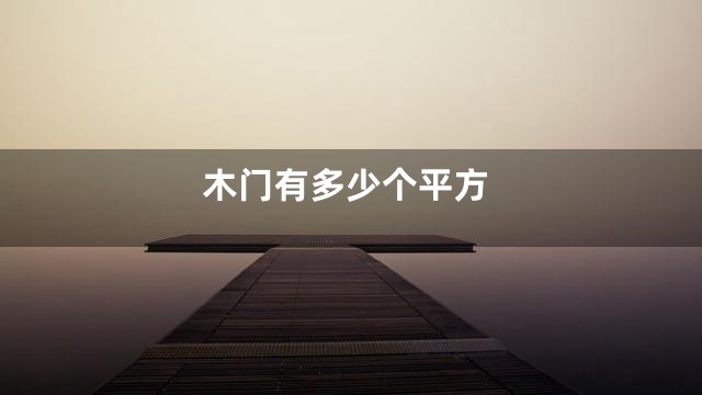 木门有多少个平方