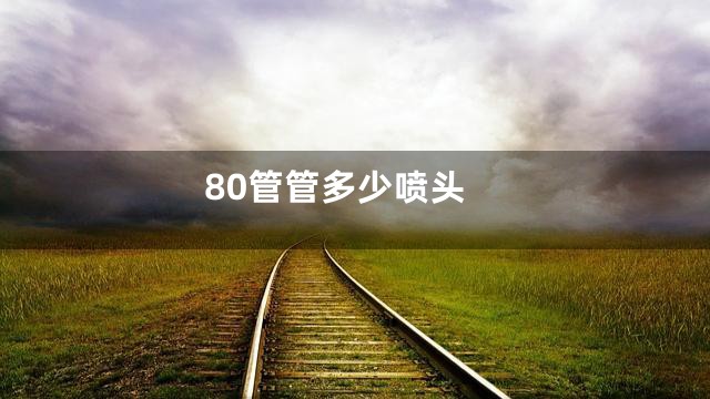 80管管多少喷头