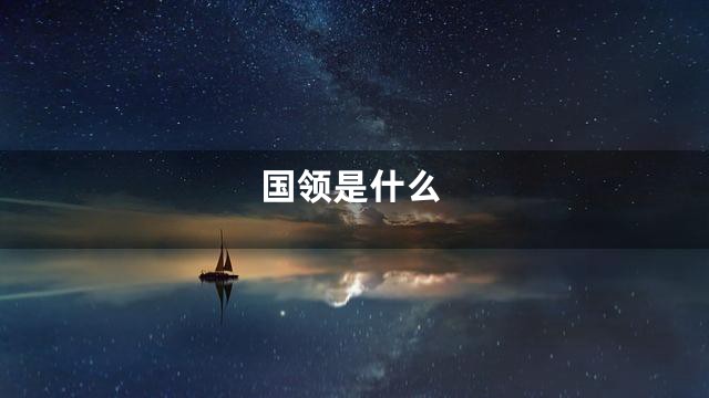 国领是什么