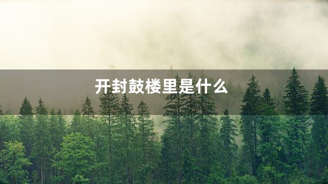 开封鼓楼里是什么