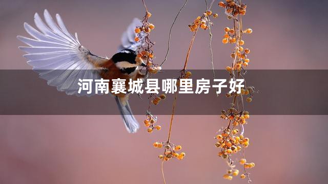 河南襄城县哪里房子好