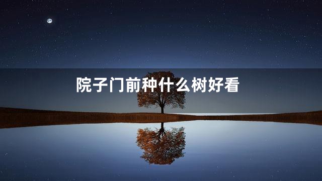 院子门前种什么树好看