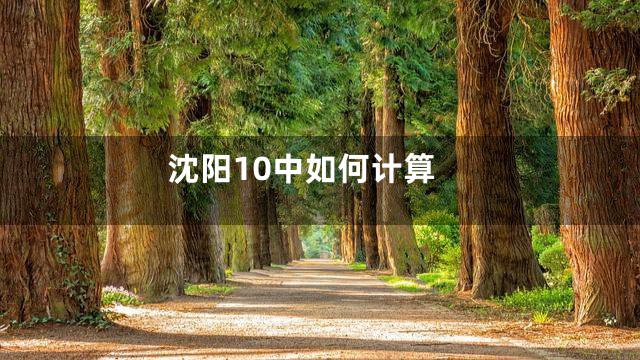 沈阳10中如何计算
