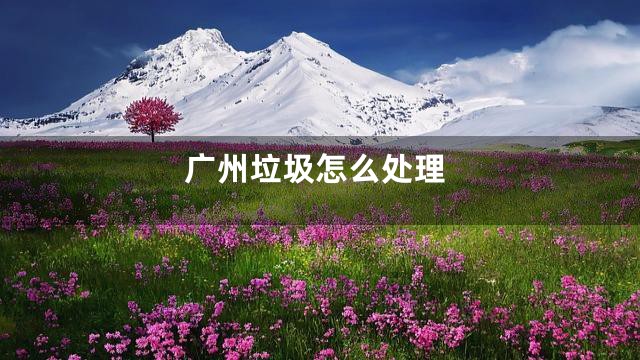 广州垃圾怎么处理