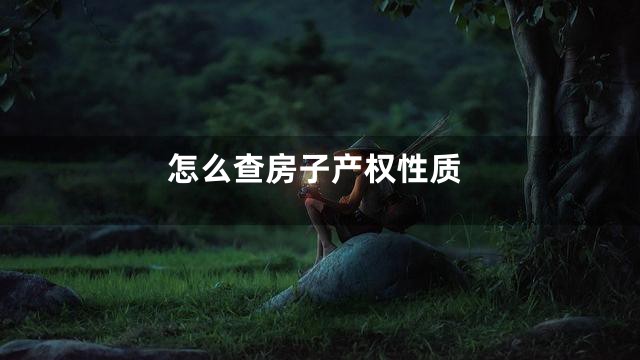 怎么查房子产权性质