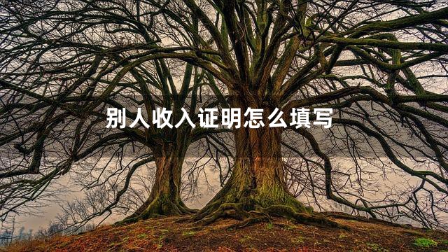 别人收入证明怎么填写