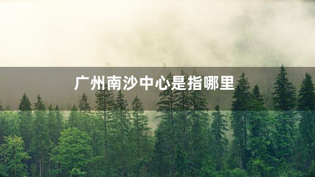 广州南沙中心是指哪里