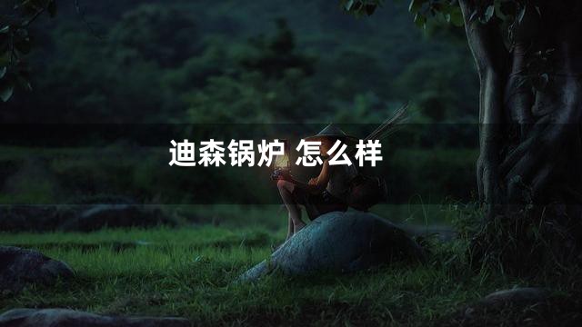 迪森锅炉 怎么样