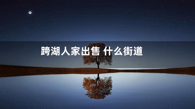 跨湖人家出售 什么街道