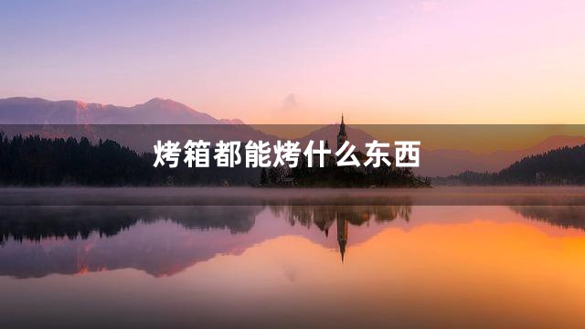 烤箱都能烤什么东西