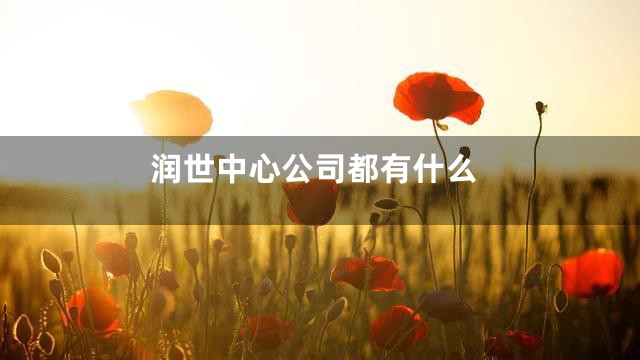 润世中心公司都有什么