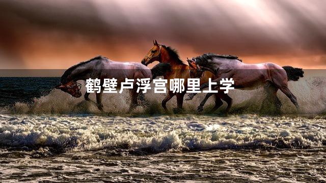 鹤壁卢浮宫哪里上学