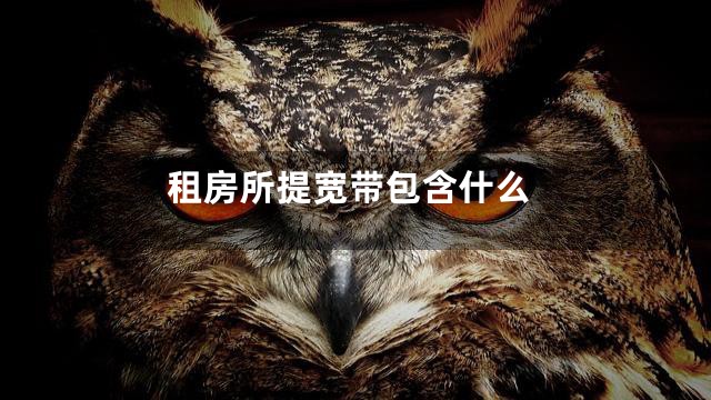 租房所提宽带包含什么