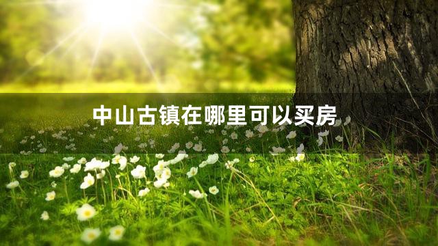 中山古镇在哪里可以买房