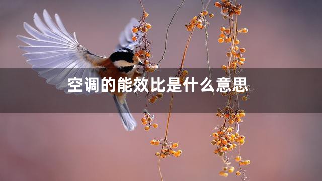 空调的能效比是什么意思