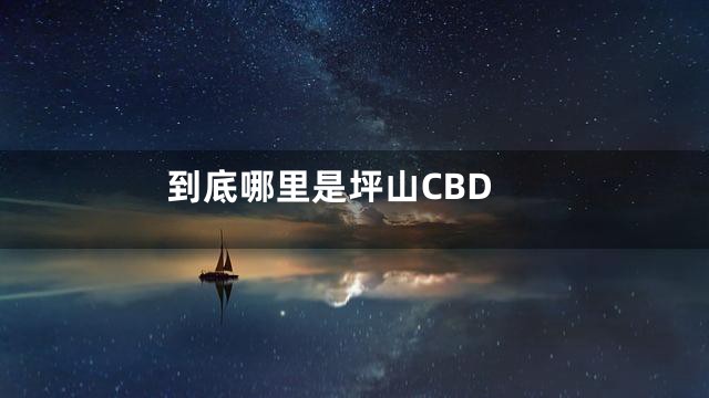 到底哪里是坪山CBD