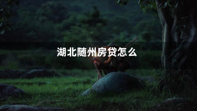 湖北随州房贷怎么