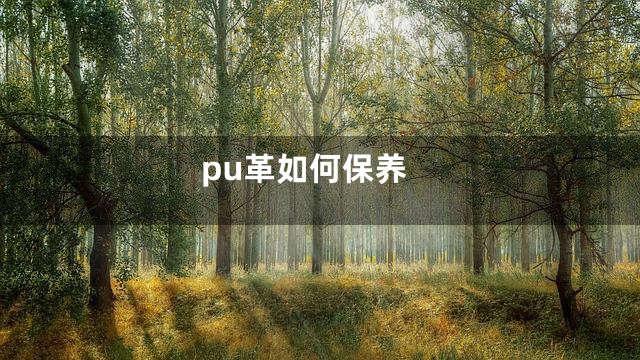 pu革如何保养