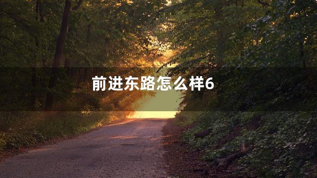 前进东路怎么样6
