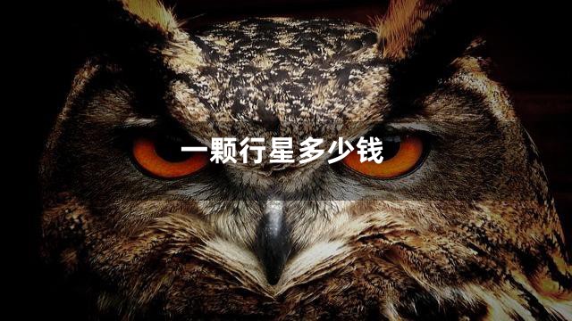 一颗行星多少钱