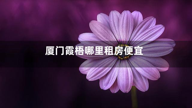 厦门霞梧哪里租房便宜