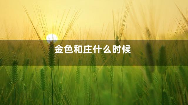 金色和庄什么时候