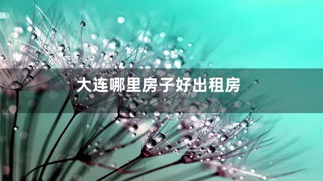 大连哪里房子好出租房