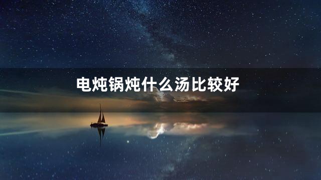 电炖锅炖什么汤比较好