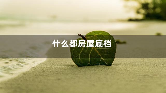 什么都房屋底档